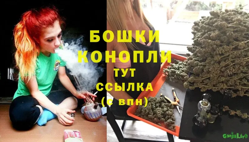 Бошки Шишки SATIVA & INDICA  где можно купить наркотик  Комсомольск-на-Амуре 